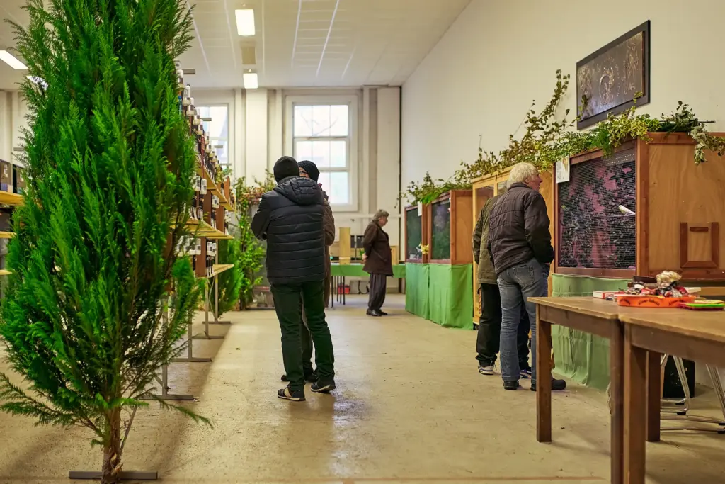 Besucher zwischen Käfigen und liebevoll geschmückten Volieren