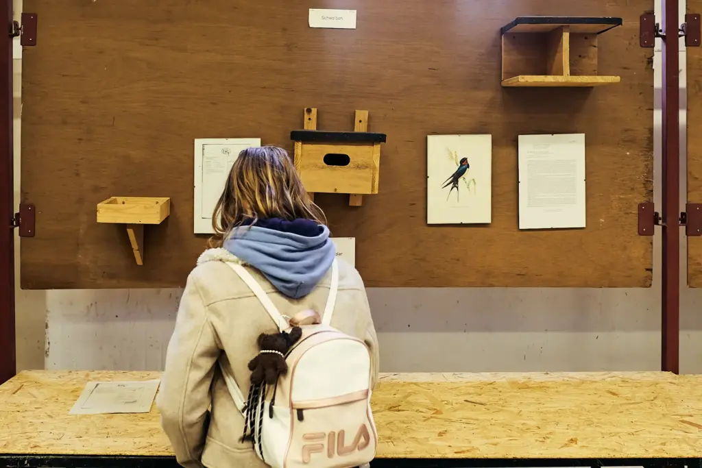 Kleines Mädchen betrachtet die Nisthilfen genau