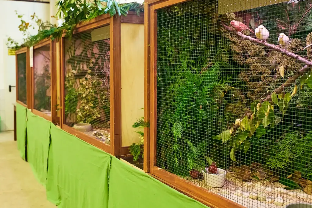 Liebevoll geschmückte Volieren bei der Vogelschau 2025 in Bremerhaven