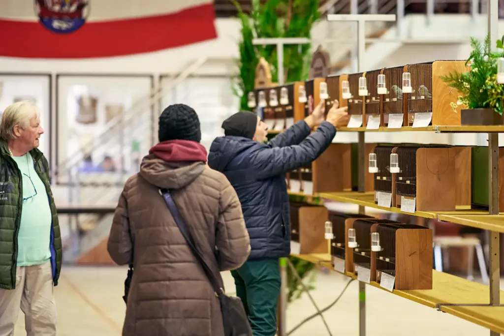 Zwei Zuschauer betrachten die ausgestellten Vögel