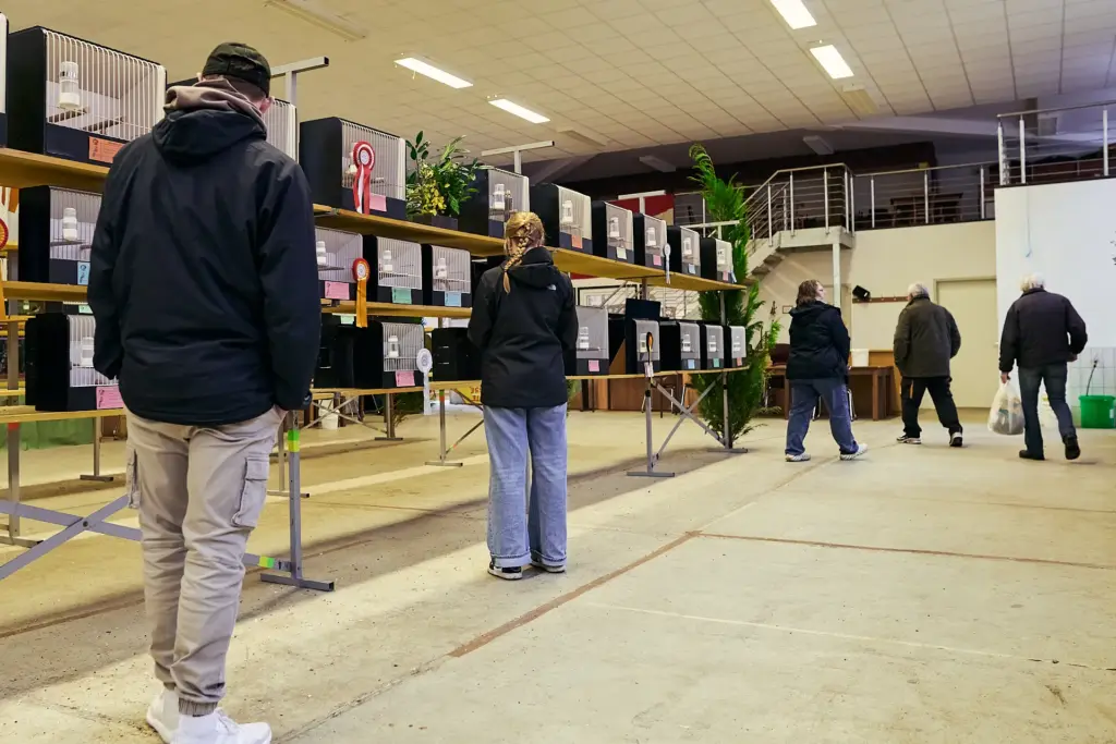 Besucher genießen die festlich geschmückte Vogelschau.