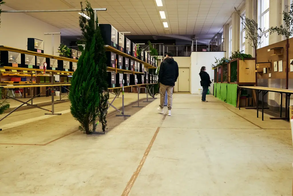 Besucher genießen die festlich geschmückte Vogelschau.