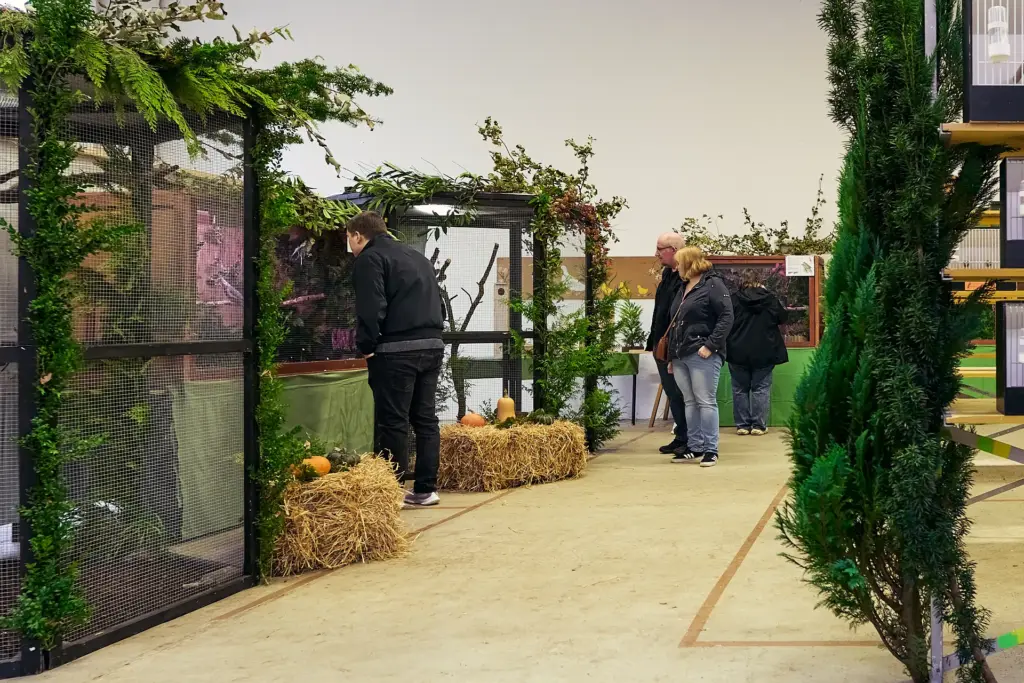 Besucher genießen die festlich geschmückte Vogelschau.