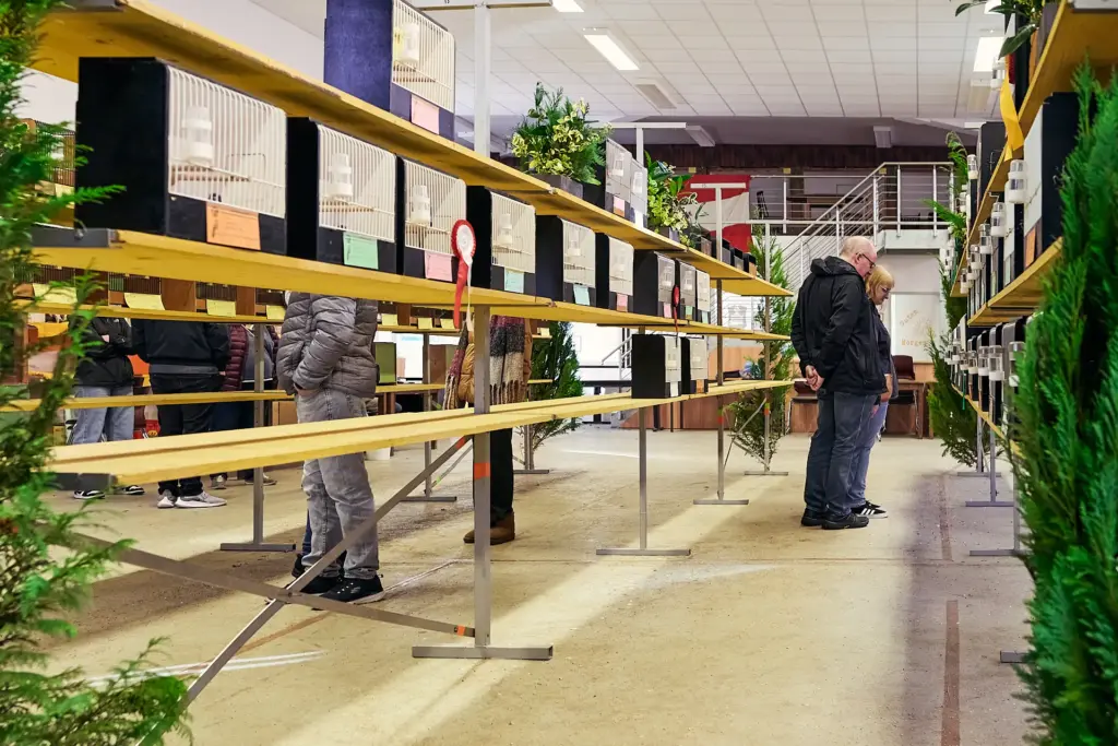 Besucher bei der festlich geschmückten Vogelschau