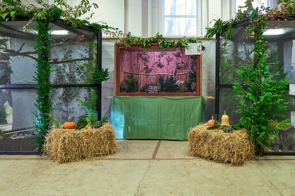 Drei schön geschmückte Volieren bei der Vogelschau in Bremerhaven