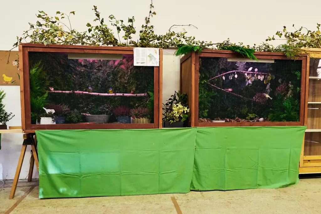 Zwei Volieren bei der Vogelschau 2025 in Bremerhaven